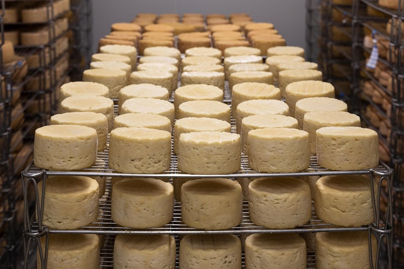 Organic Dairy Products