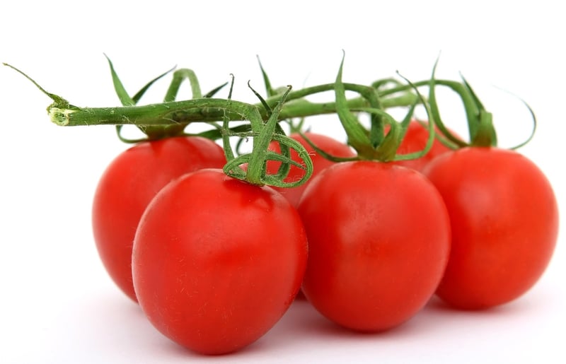Organic Grains and Legumes