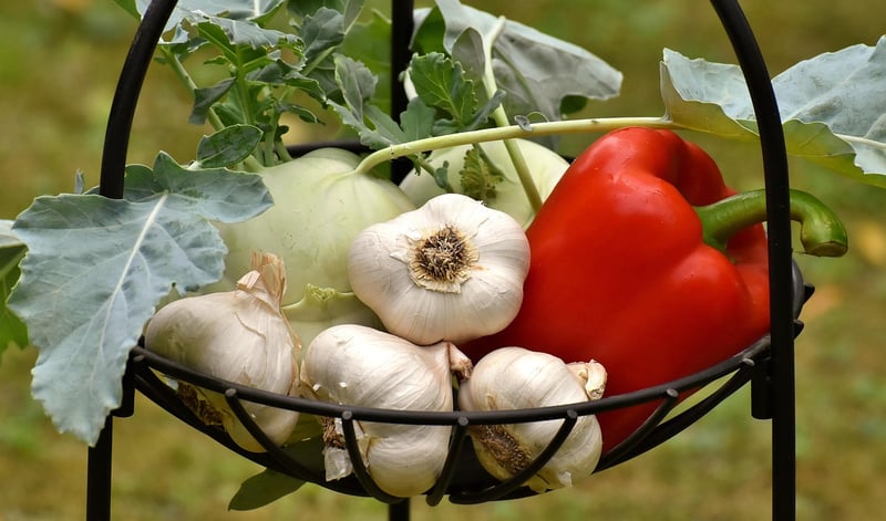 Organic Fruits and Vegetables